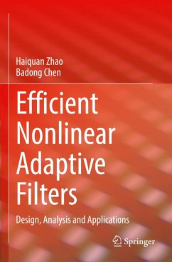 Efficient Nonlinear Adaptive Filters - Zhao, Haiquan;Chen, Badong