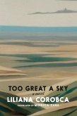 Too Great a Sky (eBook, ePUB)