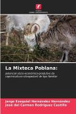 La Mixteca Poblana: