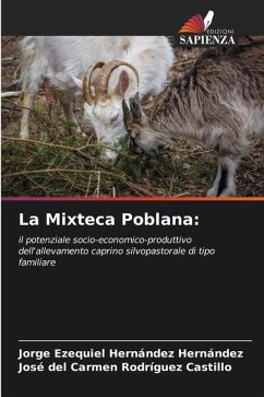 La Mixteca Poblana: - Hernández Hernández, Jorge Ezequiel;del Carmen Rodríguez Castillo, José