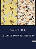 A LITTLE TOUR IN IRELAND