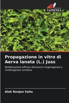 Propagazione in vitro di Aerva lanata (L.) Juss - Sahu, Alok Ranjan