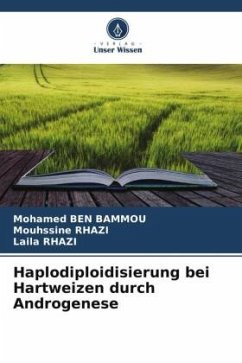 Haplodiploidisierung bei Hartweizen durch Androgenese - Ben Bammou, Mohamed;RHAZI, Mouhssine;RHAZI, Laila
