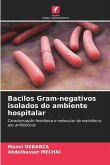 Bacilos Gram-negativos isolados do ambiente hospitalar