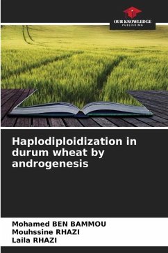 Haplodiploidization in durum wheat by androgenesis - Ben Bammou, Mohamed;RHAZI, Mouhssine;RHAZI, Laila