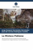 La Mixteca Poblana: