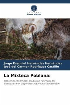 La Mixteca Poblana: - Hernández Hernández, Jorge Ezequiel;del Carmen Rodríguez Castillo, José