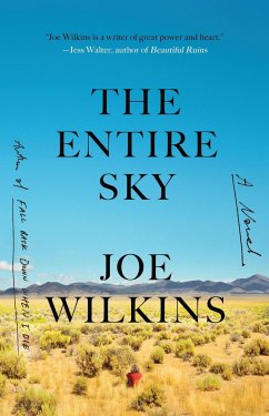 The Entire Sky - Wilkins, Joe