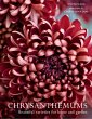Chrysanthemums (eBook, ePUB) - Bild 1