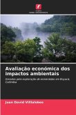 Avaliação económica dos impactos ambientais