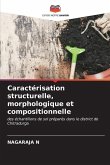 Caractérisation structurelle, morphologique et compositionnelle