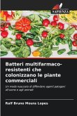 Batteri multifarmaco-resistenti che colonizzano le piante commerciali