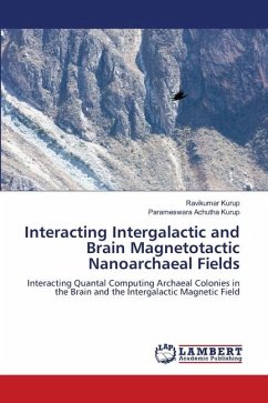 Interacting Intergalactic and Brain Magnetotactic Nanoarchaeal Fields