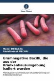 Gramnegative Bacilli, die aus der Krankenhausumgebung isoliert wurden