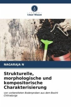 Strukturelle, morphologische und kompositorische Charakterisierung - N, NAGARAJA