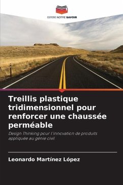 Treillis plastique tridimensionnel pour renforcer une chaussée perméable - Martínez López, Leonardo