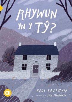 Cover Cyfres Amdani: Rhywun yn y Ty?