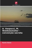 ¿. Vespucci, M. Waldseemüller - convenção secreta