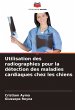 Utilisation des radiographies pour la... - Bild 1
