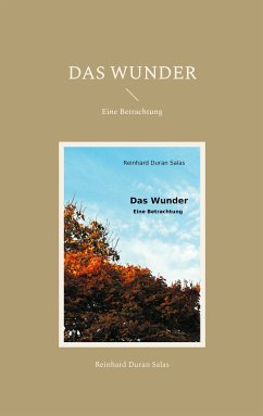 Das Wunder (eBook, ePUB) - Duran Salas, Reinhard