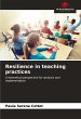 Resilience in teaching practices - Bild 1