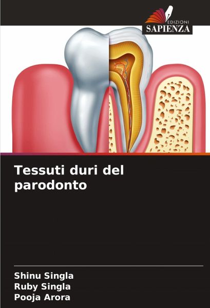 Tessuti duri del parodonto Tessuti duri del parodonto