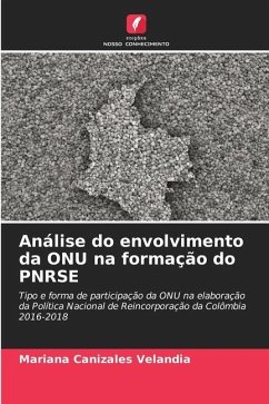 Análise do envolvimento da ONU na formação do PNRSE - Canizales Velandia, Mariana