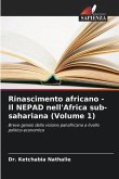 Rinascimento africano - Il NEPAD nell'Africa sub-sahariana (Volume 1)