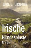 Irische Hirngespinste: Roman (eBook, ePUB)