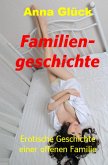 Familiengeschichte (eBook, ePUB)