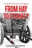 From Hay to Eternity: 10 Devilish Tales of Crime and Deception (eBook, ePUB)
