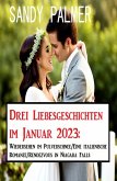 Drei Liebesgeschichten im Januar 2023:Wiedersehen im Pulverschnee/Eine italienische Romanze/Rendezvous in Niagara Falls (eBook, ePUB)