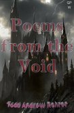 Poems from the Void (eBook, ePUB)