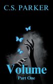 Volume (eBook, ePUB)