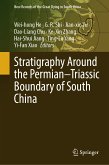 Stratigraphy Around the Permian–Triassic Boundary of South China (eBook, PDF)