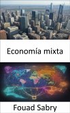 Economía mixta (eBook, ePUB)