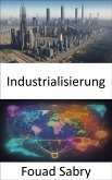 Industrialisierung (eBook, ePUB)