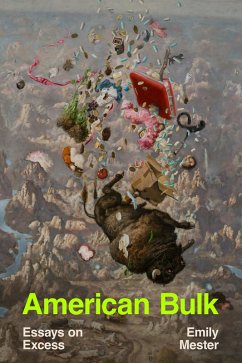 American Bulk: Essays on Excess (eBook, ePUB) - Mester, Emily