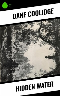 Cover Hidden Water (eBook, ePUB)