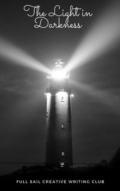 Cover The Light in Darkness (eBook, ePUB)