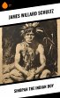 Sinopah the Indian Boy (eBook, ePUB) - Bild 1