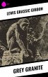 Grey Granite (eBook, ePUB) - Bild 1