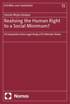 Realising the Human Right to a Social Minimum? - Adzakpa, Hannah Mirjam