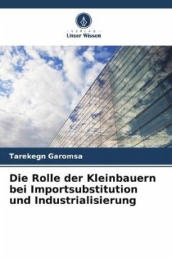 Die Rolle der Kleinbauern bei Importsubstitution und Industrialisierung - Garomsa, Tarekegn