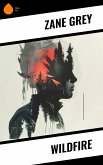 Wildfire (eBook, ePUB)