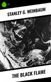 The Black Flame (eBook, ePUB)