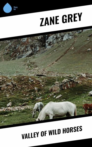 Valley of Wild Horses (eBook, ePUB) Valley of Wild Horses (eBook, ePUB)