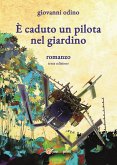 È caduto un pilota nel giardino (eBook, ePUB)