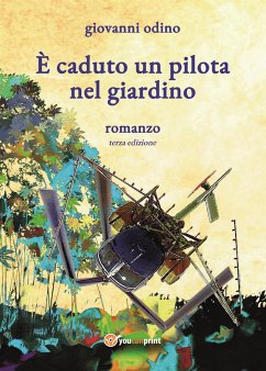 È caduto un pilota nel giardino (eBook, ePUB) - Odino, Giovanni