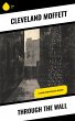 Through the Wall (eBook, ePUB) - Bild 1